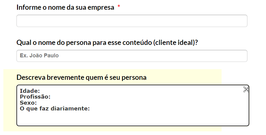 Imagem que ilustra a primeira parte do formulário para briefing de conteúdo da Maikon.biz (nome da empresa, nome da persona e descrição)