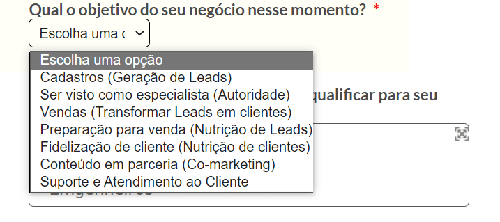 Imagem com um espaço dedicado para registro do objetivo do negócio no momento no criador de -books 