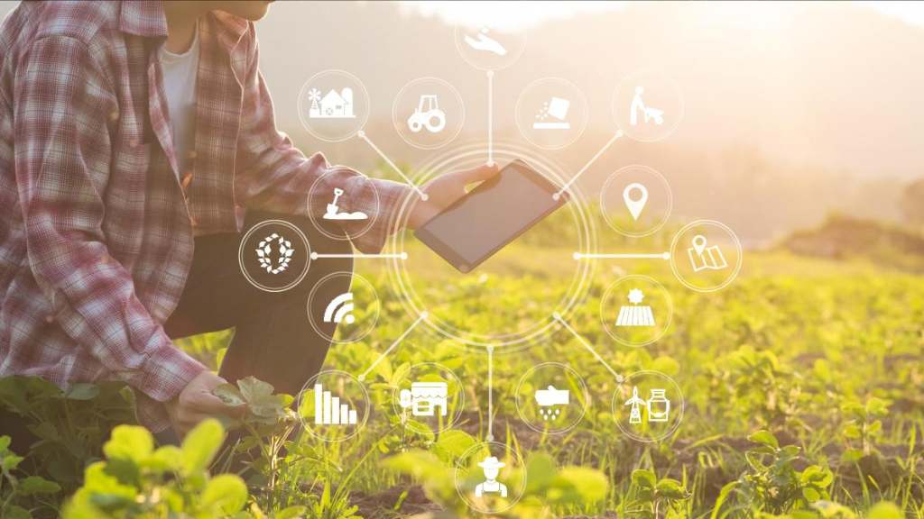 Agricultura digital: Descubra como a tecnologia está revolucionando o campo, otimizando produção e sustentabilidade para o futuro.