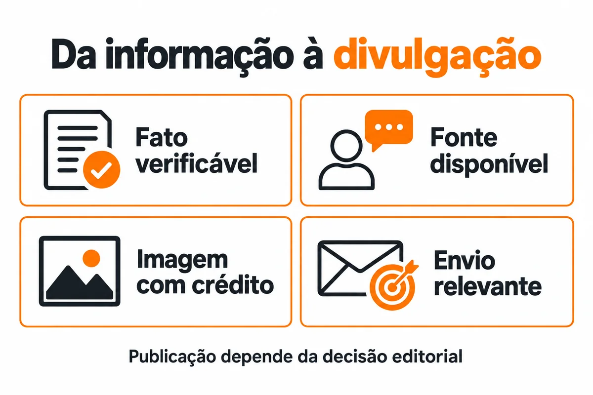 Quatro cartões mostram fato verificável, fonte disponível, imagem com crédito e envio relevante.