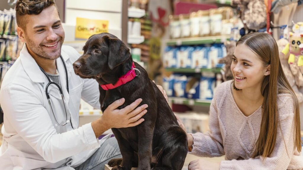 Veterinário cuidando de cachorro e a dona está observando feliz SEO para petshops