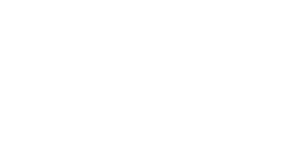 Como Anúncios Pagos Aumentam as Vendas em E-commerce Pet