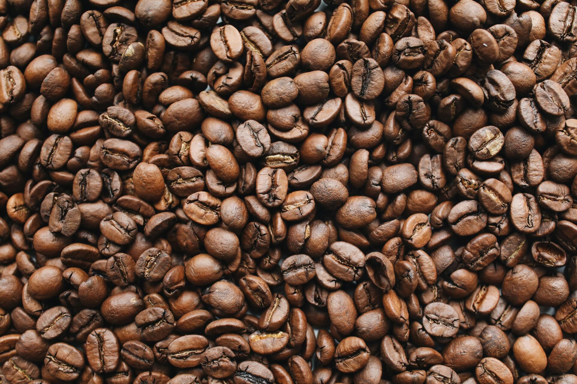 Tipos de Conteúdo que Funcionam para o Nicho de Cafés